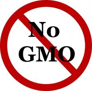 What is GMO Food? – Backyard Food Growing