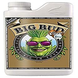 1650337730_542_best-bud-sweetener-makes-garden-a-haven-of-flowers-6930917