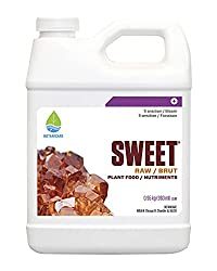 1650337732_915_best-bud-sweetener-makes-garden-a-haven-of-flowers-5026711
