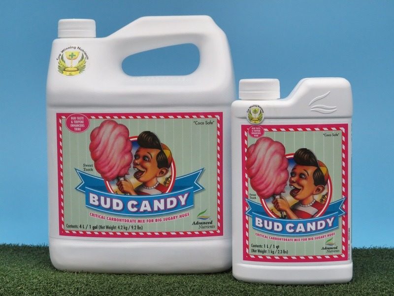 1650338719_475_Bud-Candy-vs-Terpinator-The-Best-Fertilizer-for-Hydroponics