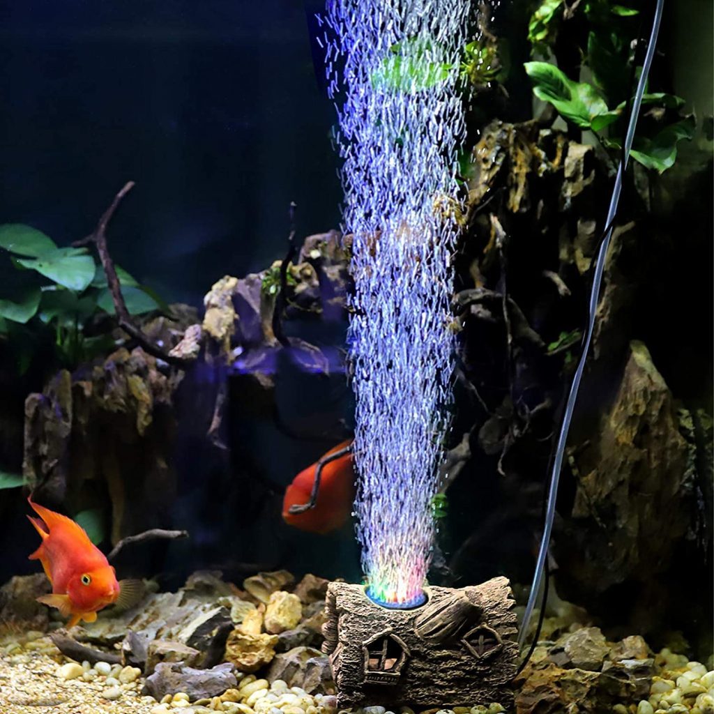 1650339091_925_How-to-Keep-a-Bubble-Stone-Down-Things-You