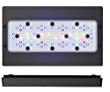 1650339399_474_Kessil-vs-Radion-Finding-the-Best-for-You