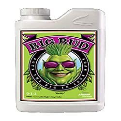 best-bud-sweetener-makes-garden-a-haven-of-flowers-3426135