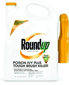 5 Best Brush Killer In 2023 (Recommended)