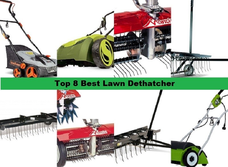 top-8-best-lawn-dethatchers-9686971