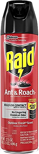 Top 7 Best Ant Killer Spray For Indoors (Recommended) Top 7 Best Ant Killer Spray For Indoors (Recommended)