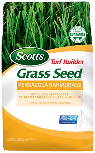 Scotts Turf Builder Grass Seed Pensacola Bahiagrass Tolerates Stress for Low Maintenance, Heat and...