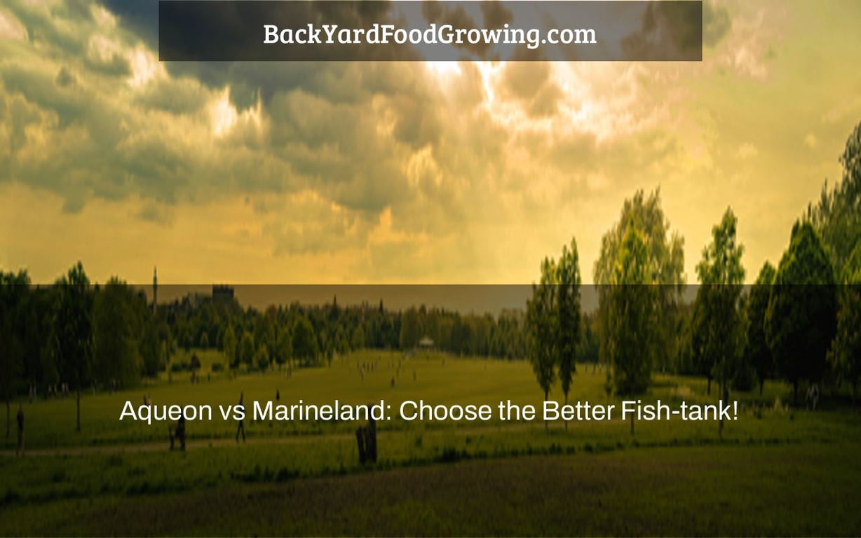 Aqueon vs Marineland: Choose the Better Fish-tank! Aqueon vs Marineland: Choose the Better Fish-tank!