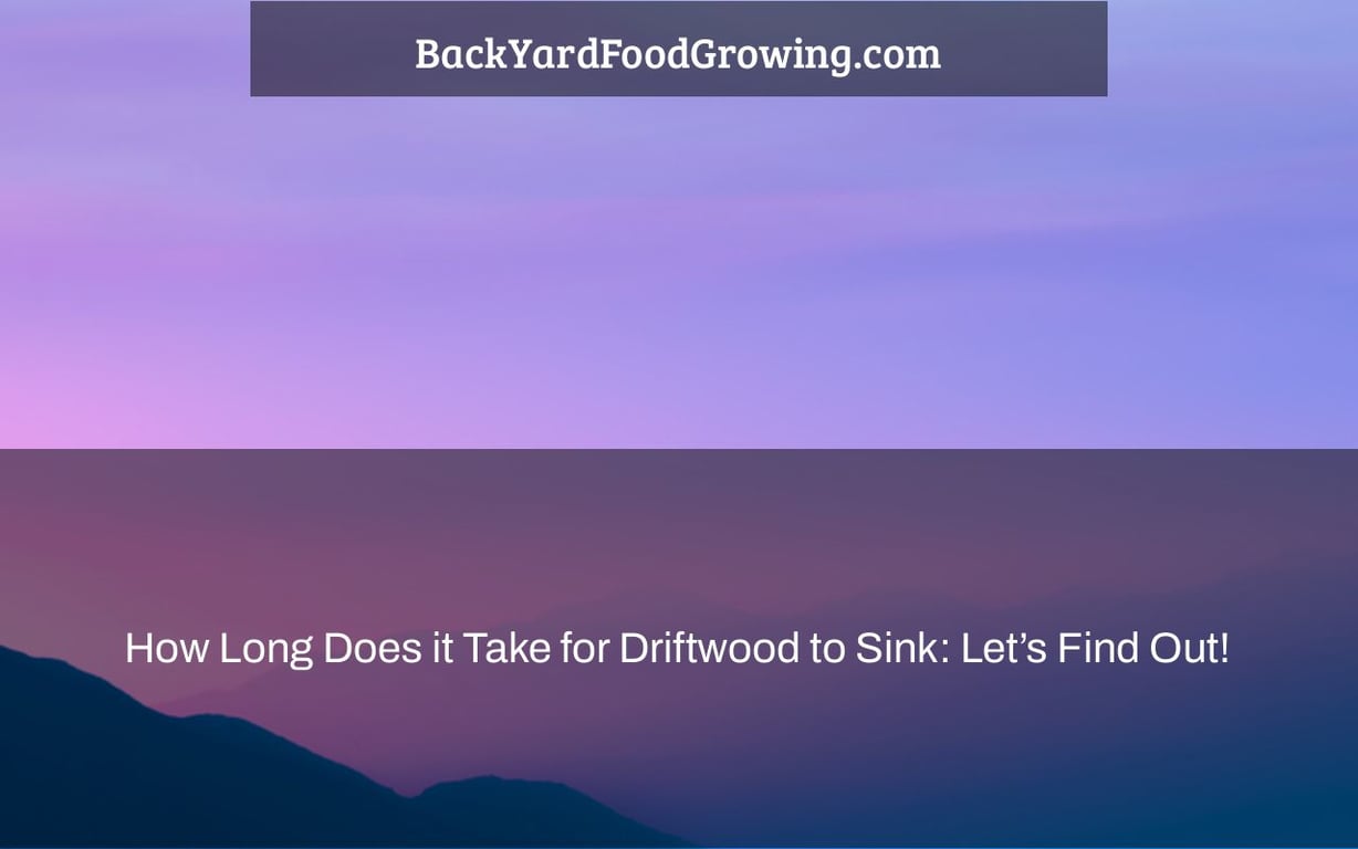 How Long Does it Take for Driftwood to Sink: Let’s Find Out! How Long Does it Take for Driftwood to Sink: Let’s Find Out!