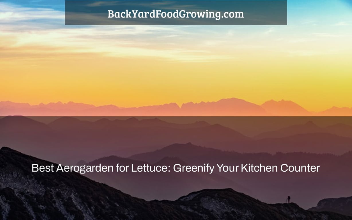 Best Aerogarden for Lettuce: Greenify Your Kitchen Counter Best Aerogarden for Lettuce: Greenify Your Kitchen Counter
