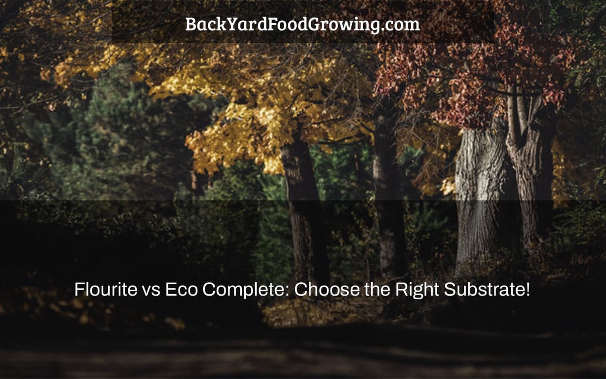 Flourite vs Eco Complete: Choose the Right Substrate! Flourite vs Eco Complete: Choose the Right Substrate!