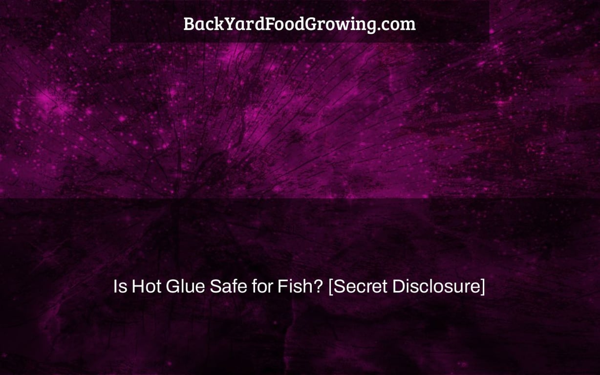 Is Hot Glue Safe for Fish? [Secret Disclosure]