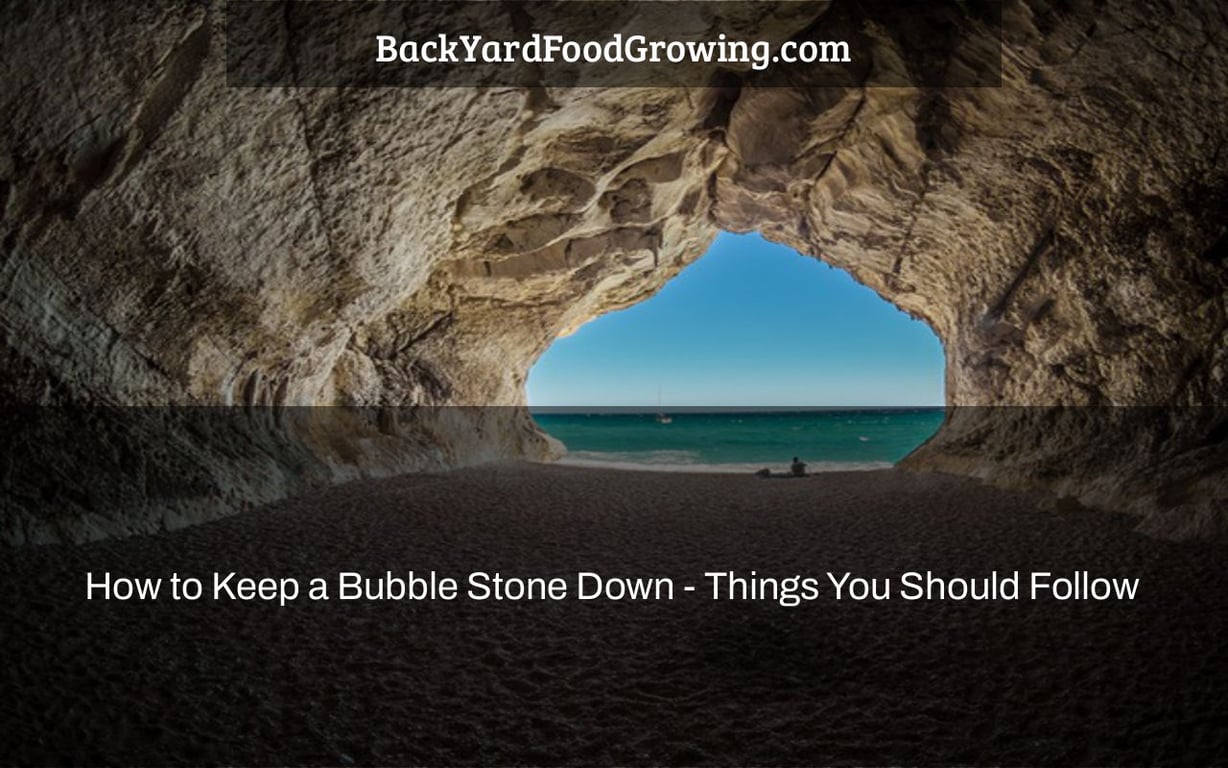 How to Keep a Bubble Stone Down – Things You Should Follow How to Keep a Bubble Stone Down – Things You Should Follow