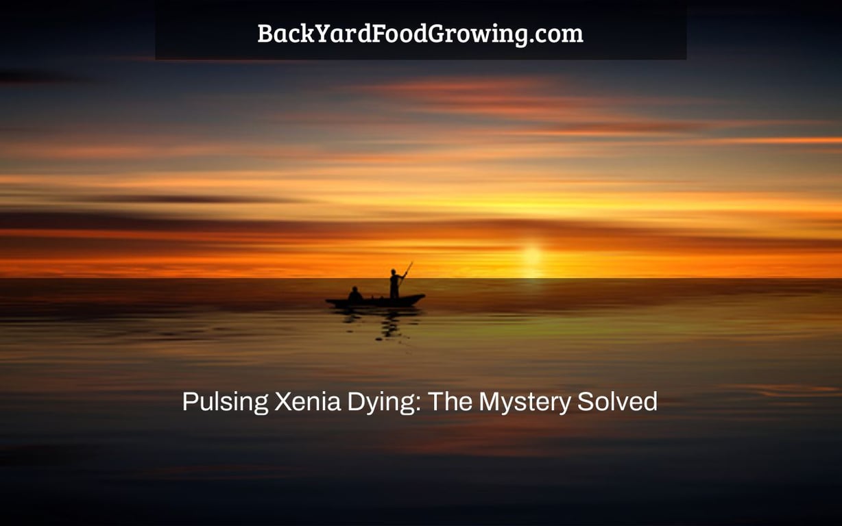 Pulsing Xenia Dying: The Mystery Solved Pulsing Xenia Dying: The Mystery Solved
