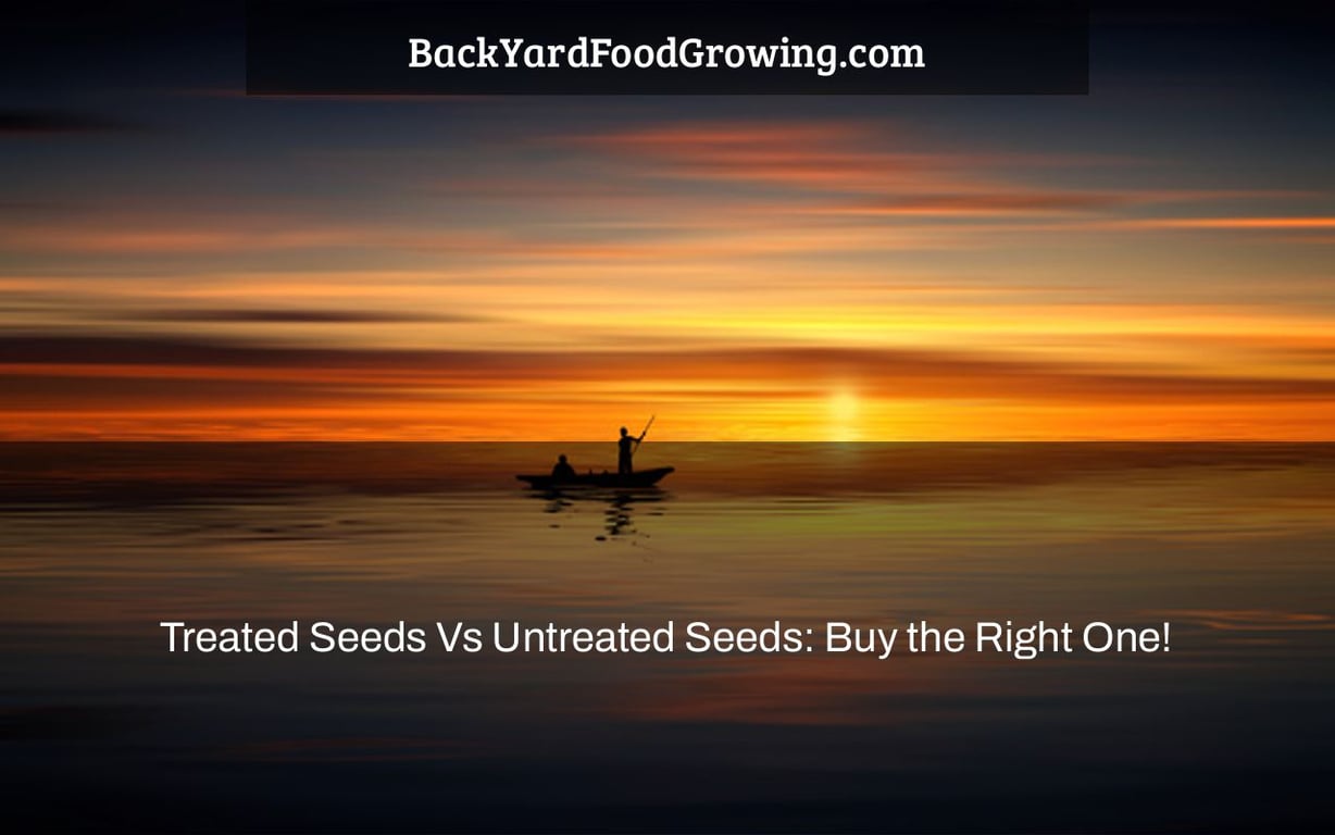 Treated Seeds Vs Untreated Seeds: Buy the Right One! Treated Seeds Vs Untreated Seeds: Buy the Right One!