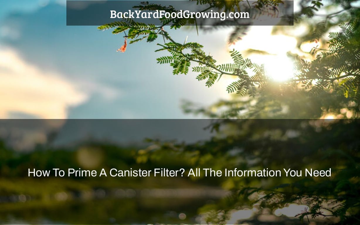 How To Prime A Canister Filter? All The Information You Need How To Prime A Canister Filter? All The Information You Need