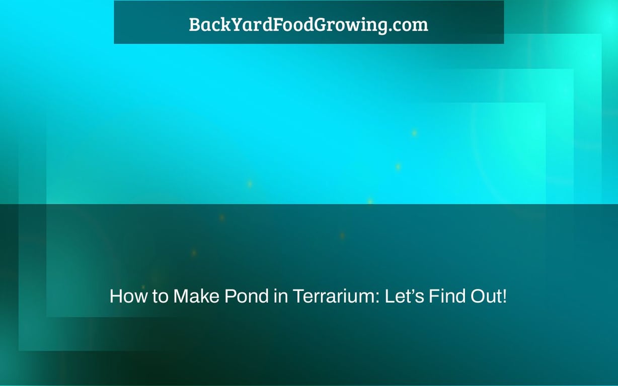 How to Make Pond in Terrarium: Let’s Find Out!