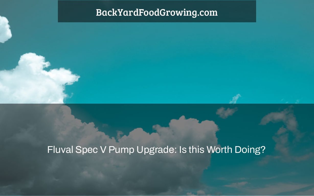 Fluval Spec V Pump Upgrade: Is this Worth Doing? Fluval Spec V Pump Upgrade: Is this Worth Doing?