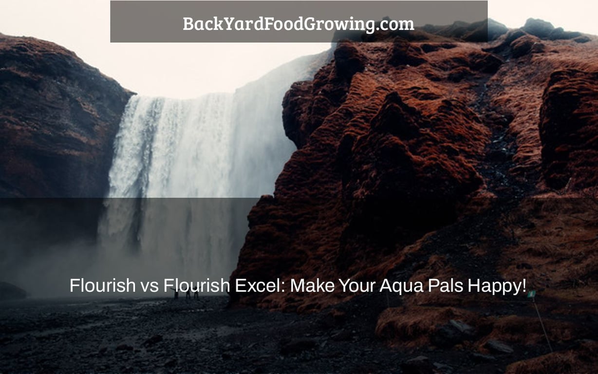 Flourish vs Flourish Excel: Make Your Aqua Pals Happy!