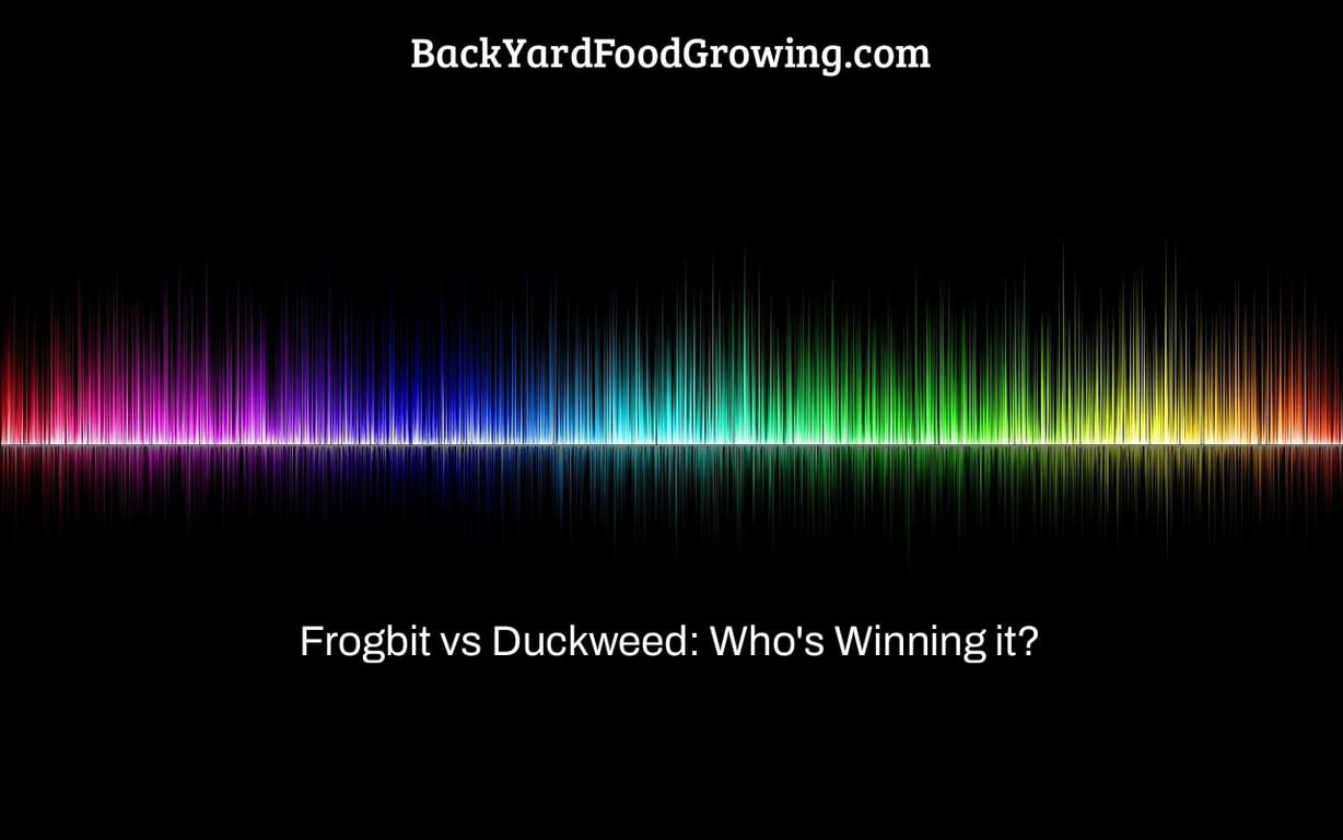 Frogbit vs Duckweed: Who’s Winning it?
