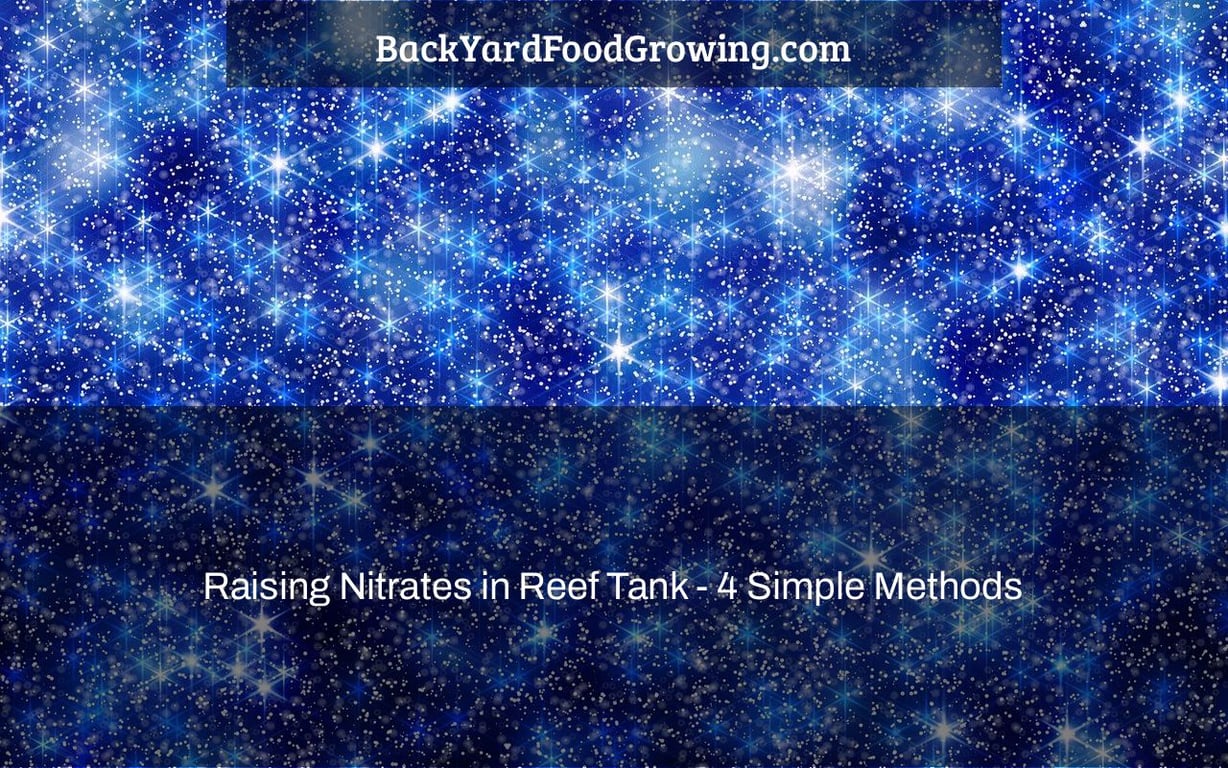 Raising Nitrates in Reef Tank – 4 Simple Methods Raising Nitrates in Reef Tank – 4 Simple Methods