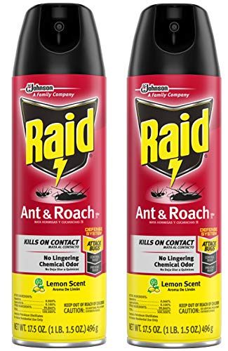 Raid Ant & Roach Killer Lemon Scent, 17.5 OZ (Pack of 2)